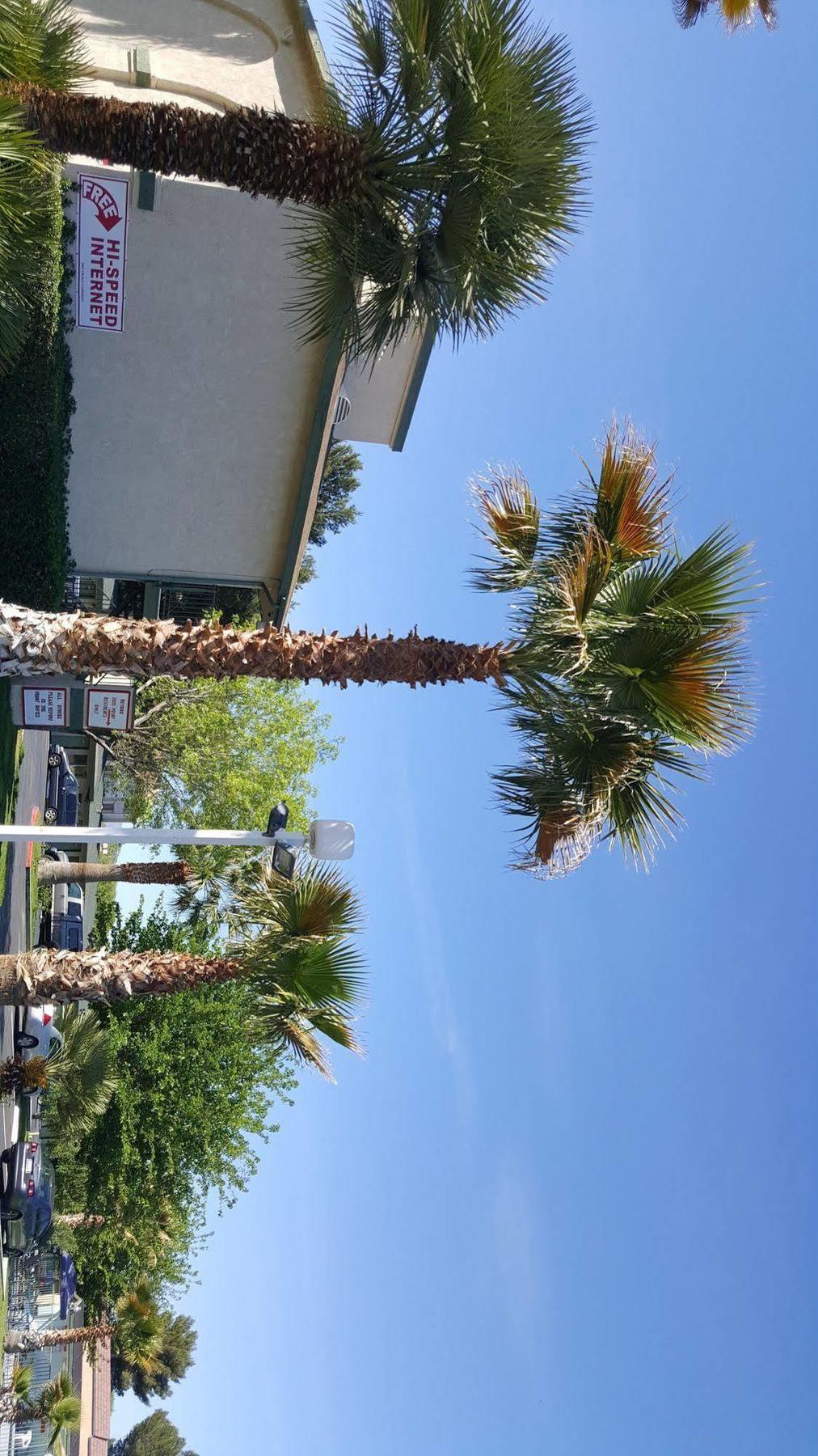 Town House Motel Lancaster Luaran gambar